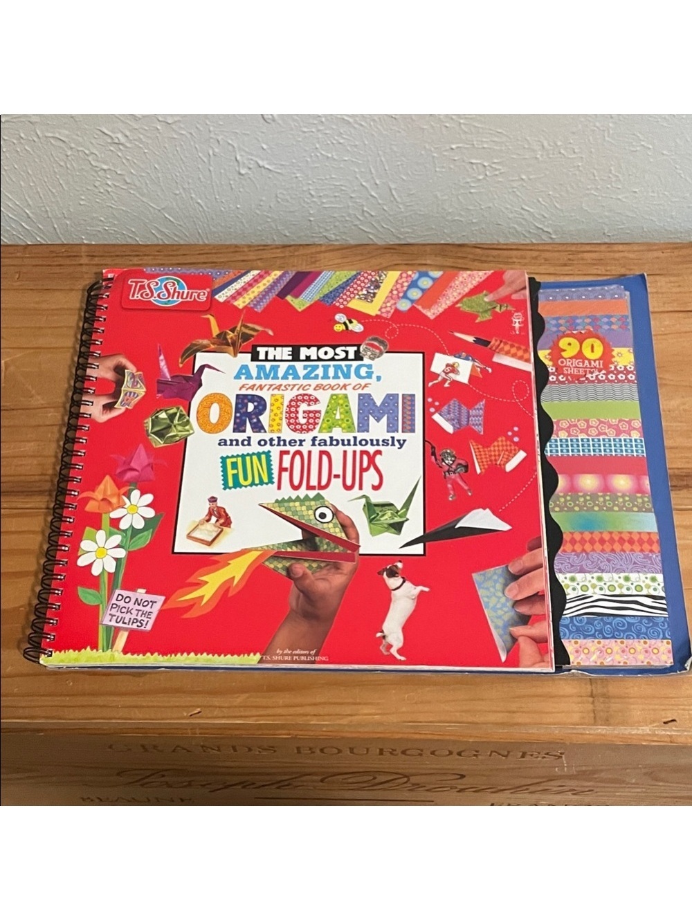 Origami for Kids -- The Most Amazing Origami Fun Fold-Ups Book